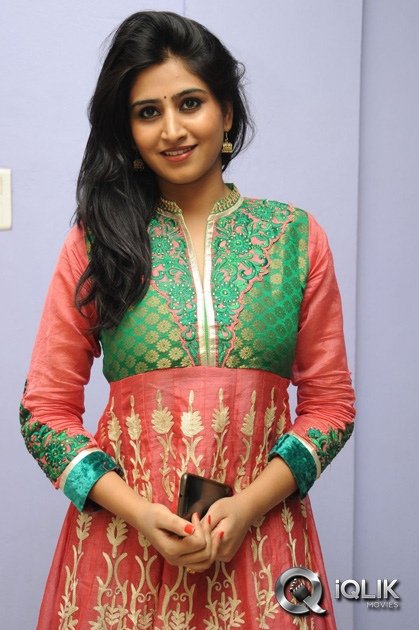 Shamili-at-Chandamama-Kathalu-Preview-show
